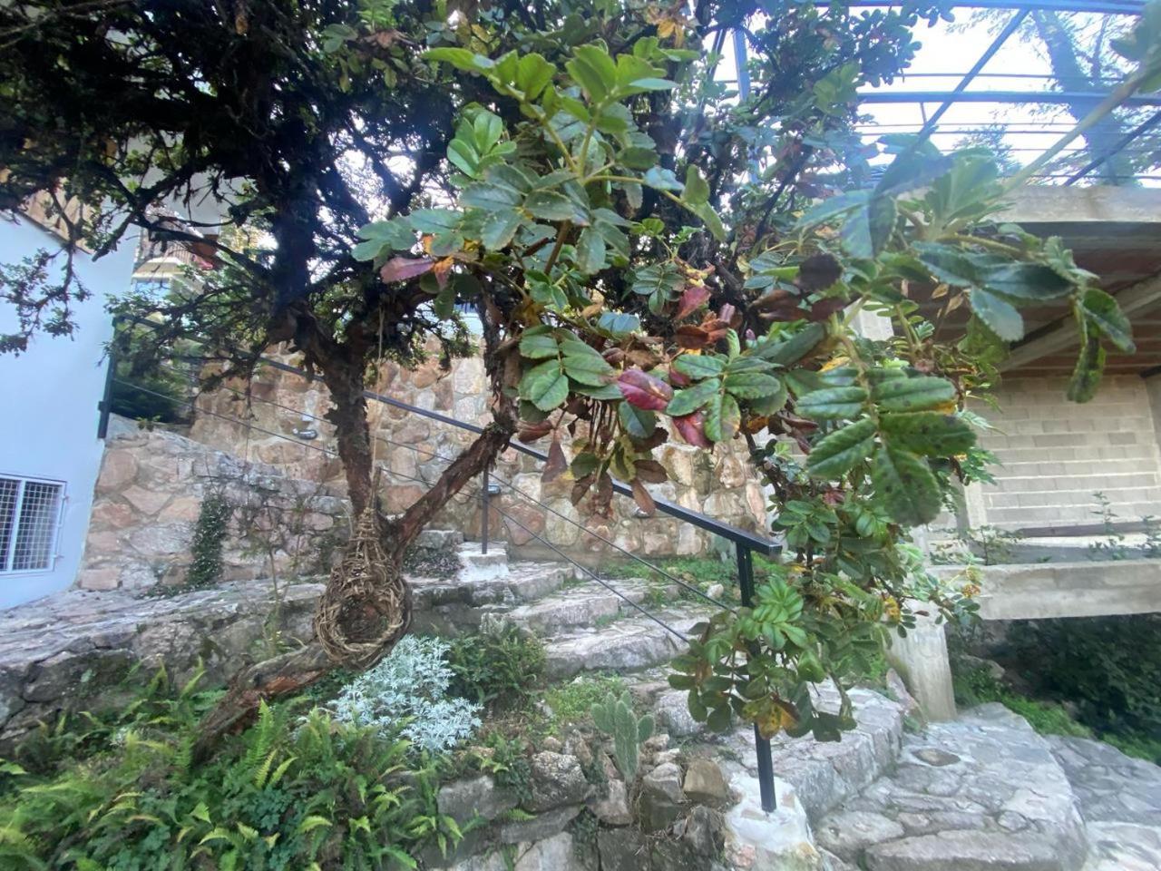 坎伯雷塔Casa Raiz Cumbrecita住宿加早餐旅馆 外观 照片
